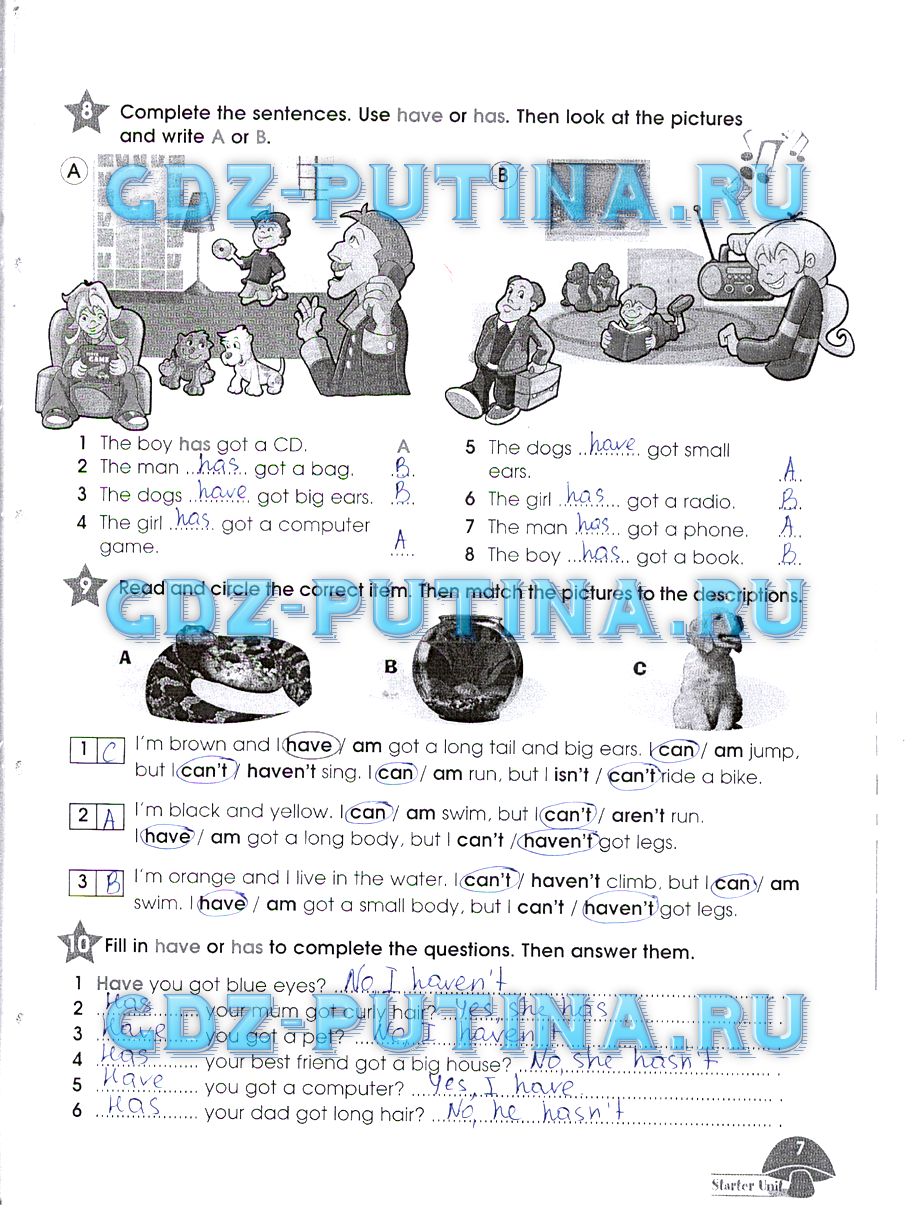 Рабочая тетрадь. Starlight, 4 класс, Баранова, 2015, Часть 1 Задание: 7