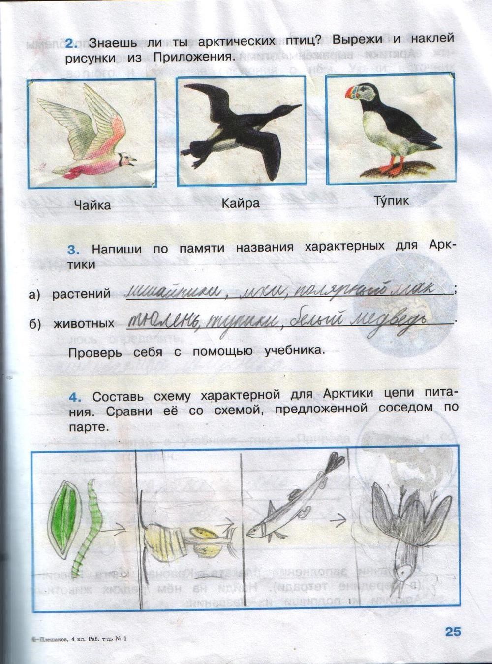 Рабочая тетрадь. Часть 2, 4 класс, А.А. Плешаков, Е.А. Крючкова, 2008, задание: стр.25