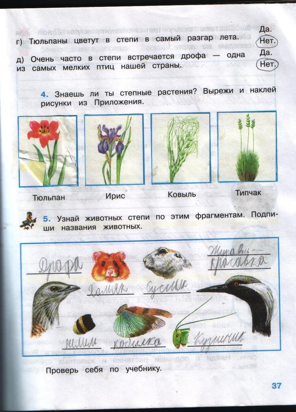 Рабочая тетрадь. Часть 2, 4 класс, А.А. Плешаков, Е.А. Крючкова, 2008, задание: стр.37