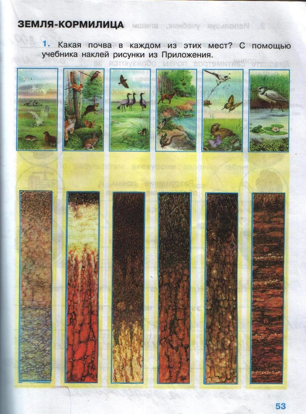 Рабочая тетрадь. Часть 2, 4 класс, А.А. Плешаков, Е.А. Крючкова, 2008, задание: стр.53