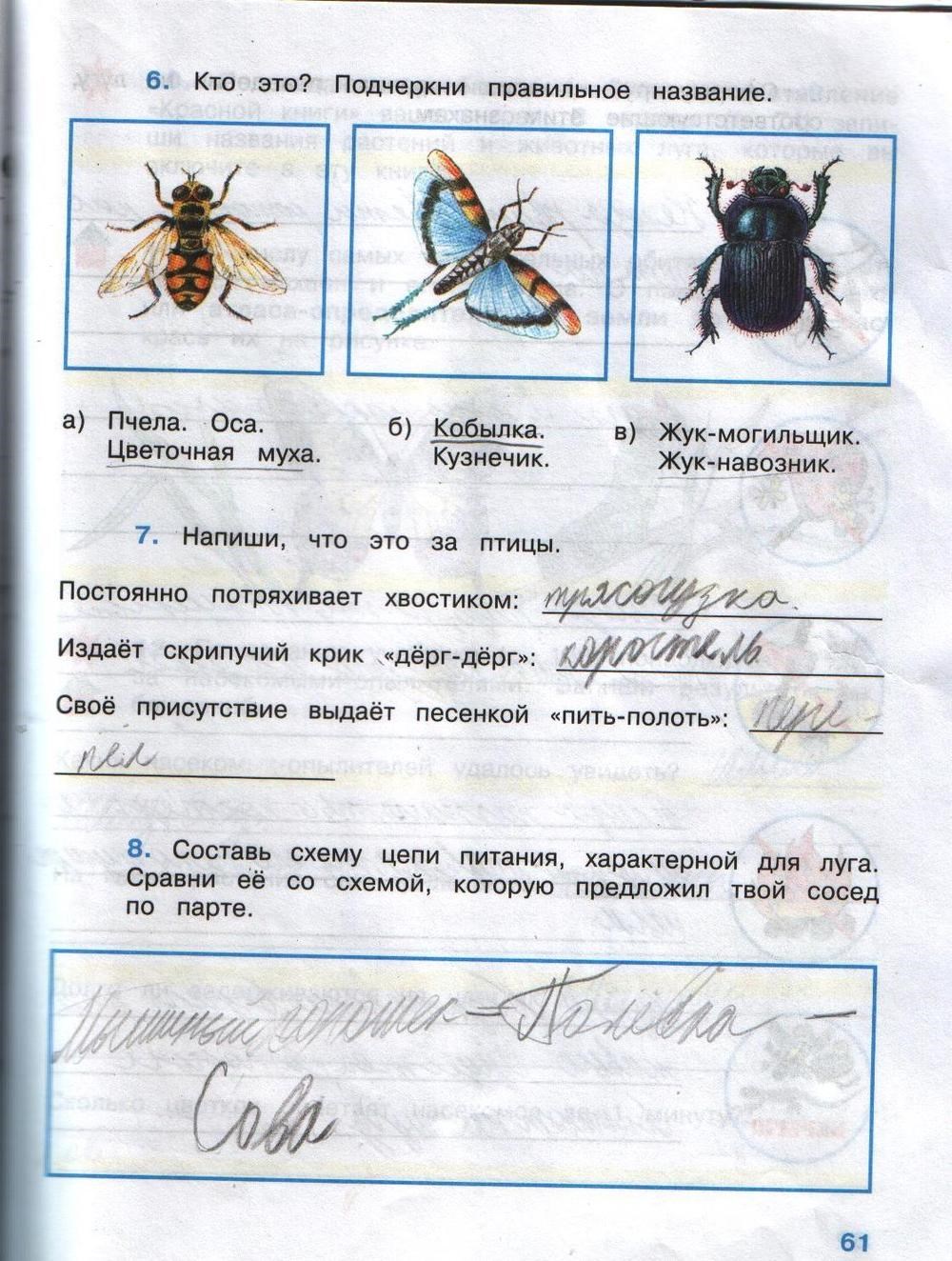 Рабочая тетрадь. Часть 2, 4 класс, А.А. Плешаков, Е.А. Крючкова, 2008, задание: стр.61