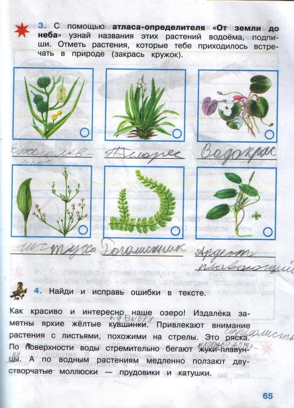 Рабочая тетрадь. Часть 2, 4 класс, А.А. Плешаков, Е.А. Крючкова, 2008, задание: стр.65