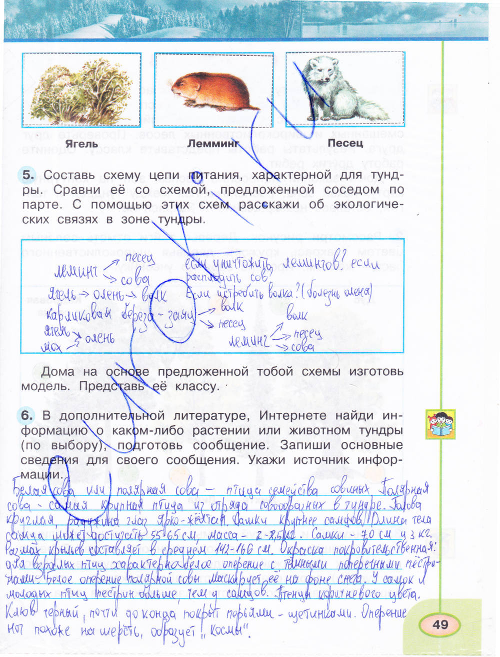 Рабочая тетрадь. Часть 1, 4 класс, Плешаков А.А., Новицкая М.Ю., 2015, задание: стр. 49