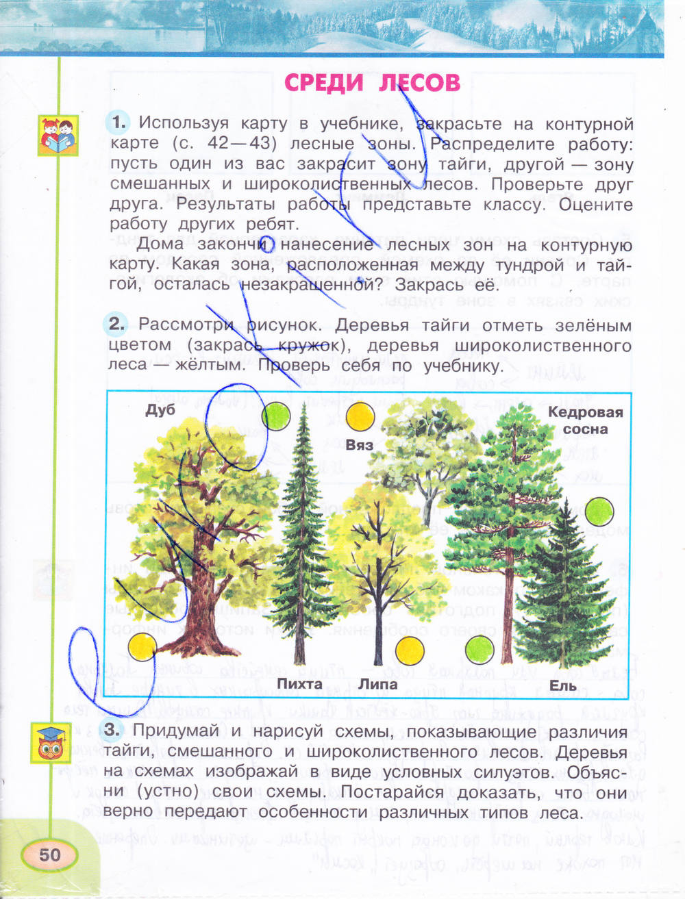 Рабочая тетрадь. Часть 1, 4 класс, Плешаков А.А., Новицкая М.Ю., 2015, задание: стр. 50