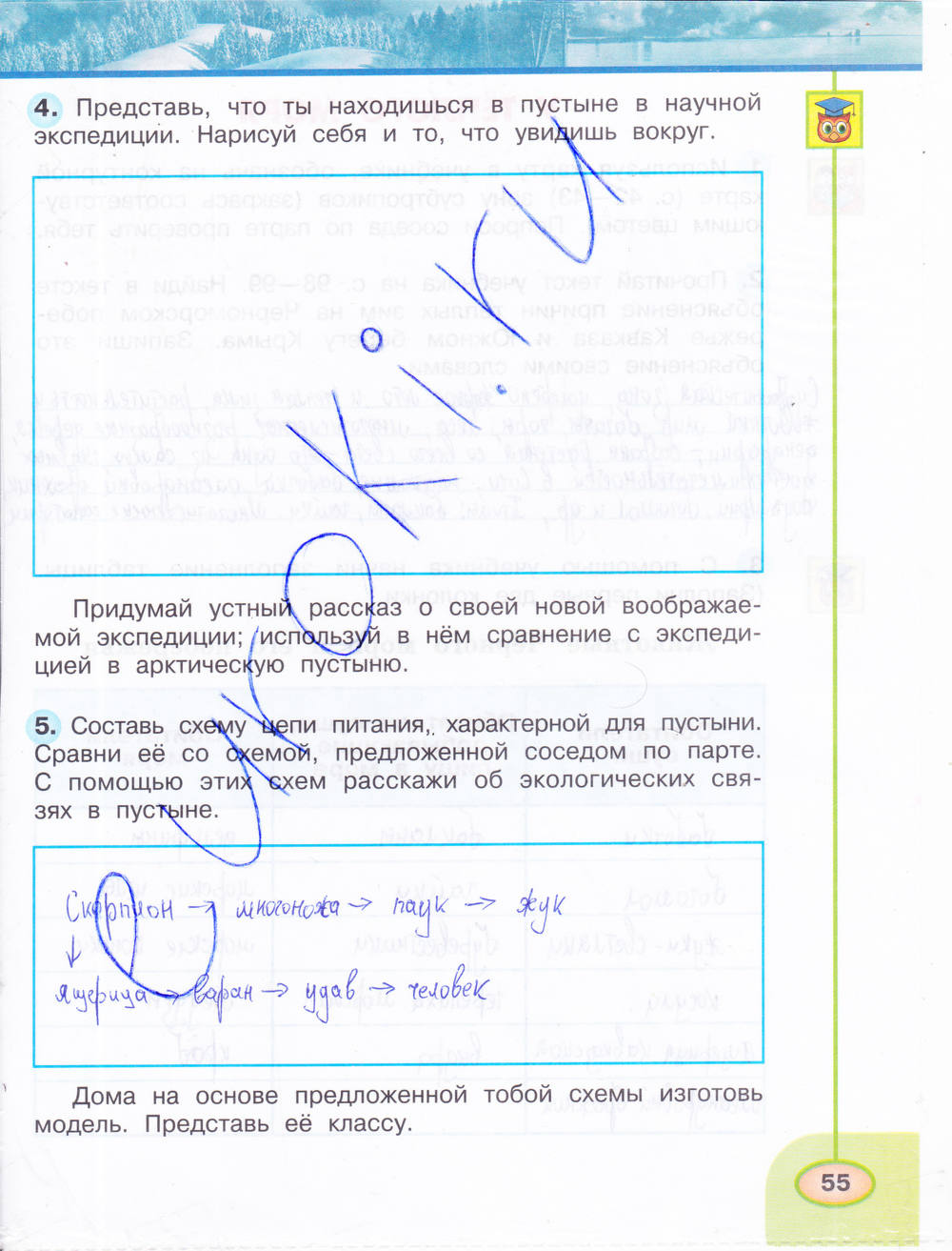 Рабочая тетрадь. Часть 1, 4 класс, Плешаков А.А., Новицкая М.Ю., 2015, задание: стр. 55