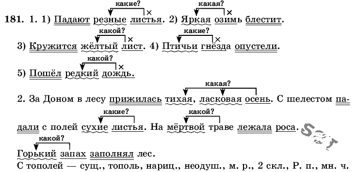 Русский язык, 5 класс, Т.А. Ладыженская, М.Т. Баранов, 2008 - 2015, задание: 181