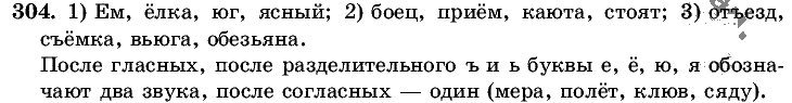 Русский язык, 5 класс, Т.А. Ладыженская, М.Т. Баранов, 2008 - 2015, задание: 304