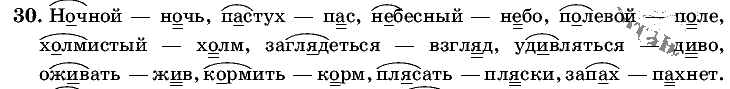Русский язык, 5 класс, Т.А. Ладыженская, М.Т. Баранов, 2008 - 2015, задание: 30