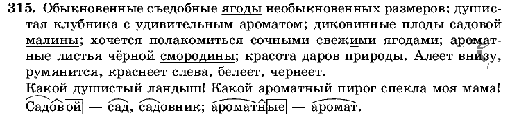 Русский язык, 5 класс, Т.А. Ладыженская, М.Т. Баранов, 2008 - 2015, задание: 315
