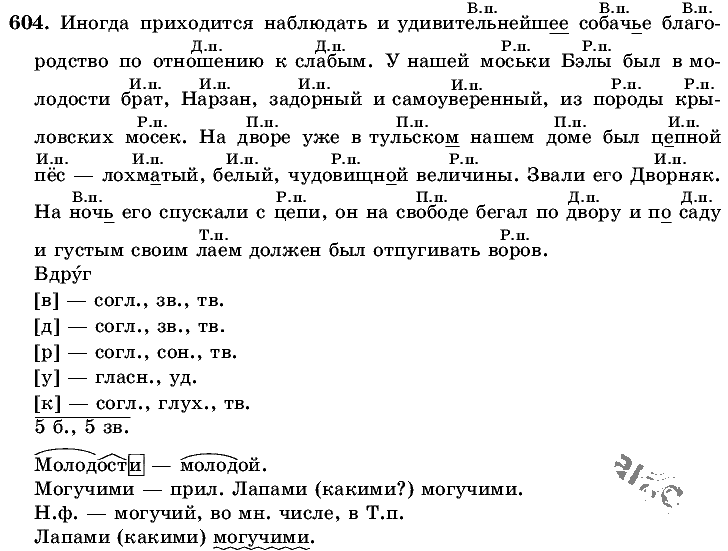 Русский язык, 5 класс, Т.А. Ладыженская, М.Т. Баранов, 2008 - 2015, задание: 604