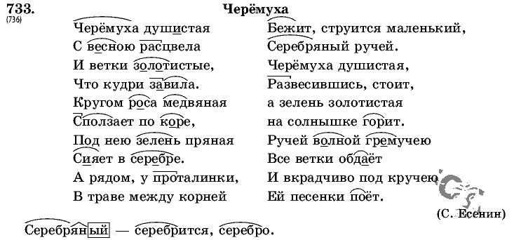 Русский язык, 5 класс, Т.А. Ладыженская, М.Т. Баранов, 2008 - 2015, задание: 733