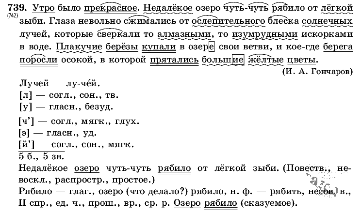 Русский язык, 5 класс, Т.А. Ладыженская, М.Т. Баранов, 2008 - 2015, задание: 739