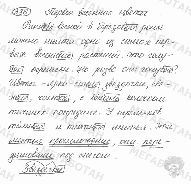 Старое издание, 5 класс, Ладыженская, 2000, задание: 586