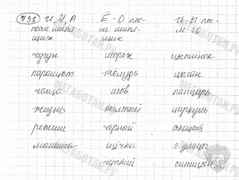 Старое издание, 5 класс, Ладыженская, 2000, задание: 738