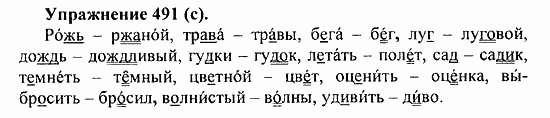 Практика, 5 класс, А.Ю. Купалова, 2007 / 2010, задание: 491(c)