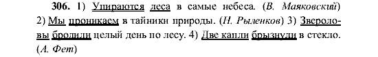 Русский язык, 5 класс, М.М. Разумовская, 2001, задание: 306
