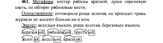 Русский язык, 5 класс, М.М. Разумовская, 2001, задание: 461