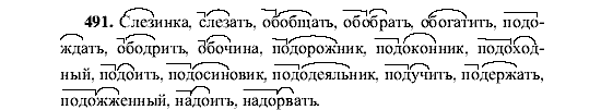 Русский язык, 5 класс, М.М. Разумовская, 2001, задание: 491