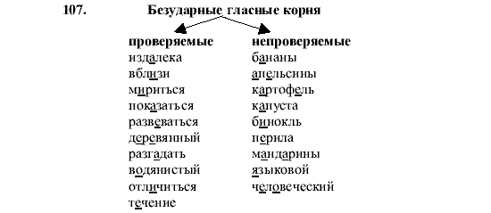 Русский язык, 5 класс, М.М. Разумовская, 2001, задание: 107