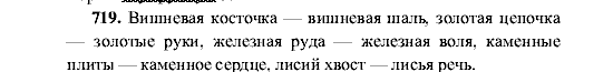 Русский язык, 5 класс, М.М. Разумовская, 2001, задание: 719