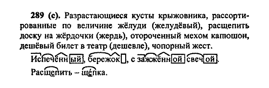 Русский язык, 5 класс, М.М. Разумовская, 2004 / 2009, задание: 289 (c)