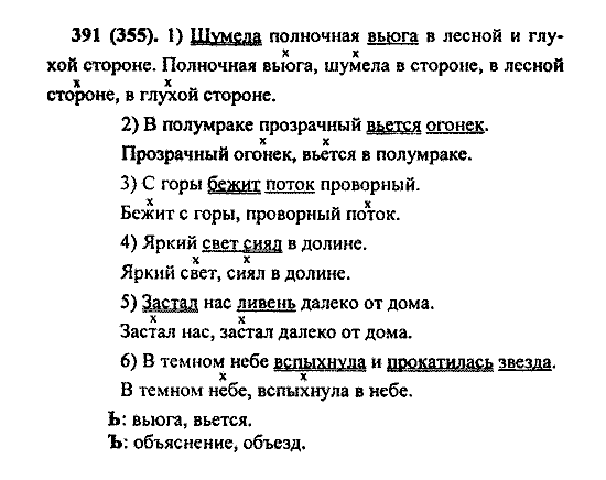 Русский язык, 5 класс, М.М. Разумовская, 2004 / 2009, задание: 391 (355)