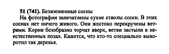 Русский язык, 5 класс, М.М. Разумовская, 2004 / 2009, задание: 51(741)
