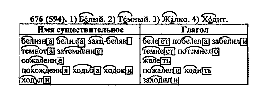 Русский язык, 5 класс, М.М. Разумовская, 2004 / 2009, задание: 676 (594)