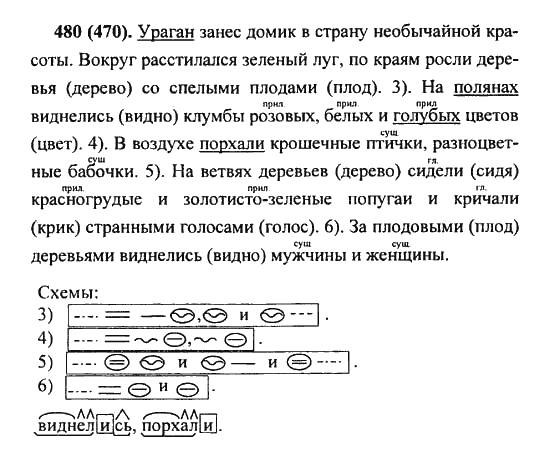 Русский язык, 5 класс, Разумовская, Львова, Капинос, 2013 - 2014 - 2015, задание: 480 (470)