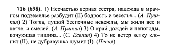 Русский язык, 5 класс, Разумовская, Львова, Капинос, 2013 - 2014 - 2015, задание: 716 (698)