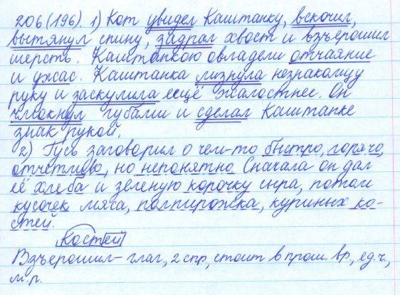 Русский язык, 5 класс, Баранов, Ладыженская, 2012 / 2015, задание: 206 (196)