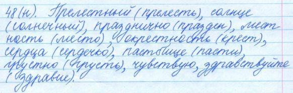 Русский язык, 5 класс, Баранов, Ладыженская, 2012 / 2015, задание: 48 (н)
