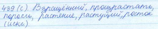 Русский язык, 5 класс, Баранов, Ладыженская, 2012 / 2015, задание: 439 (с)