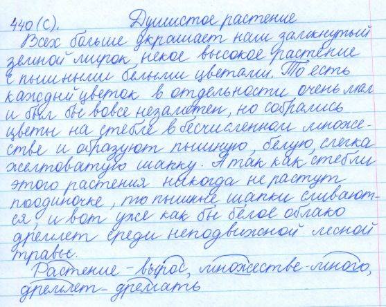 Русский язык, 5 класс, Баранов, Ладыженская, 2012 / 2015, задание: 440 (с)