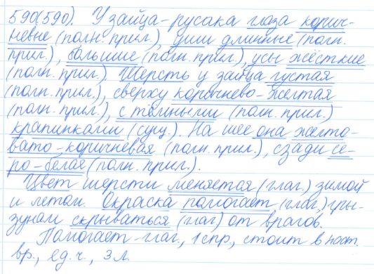 Русский язык, 5 класс, Баранов, Ладыженская, 2012 / 2015, задание: 590 (590)