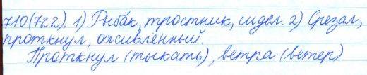Русский язык, 5 класс, Баранов, Ладыженская, 2012 / 2015, задание: 710 (722)