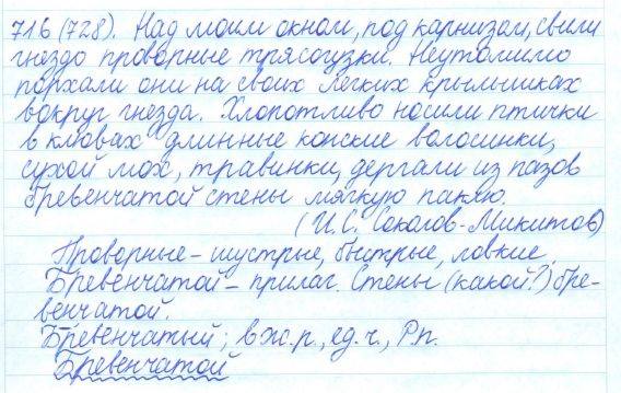 Русский язык, 5 класс, Баранов, Ладыженская, 2012 / 2015, задание: 716 (728)