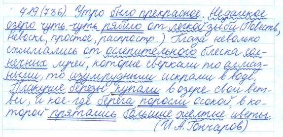 Русский язык, 5 класс, Баранов, Ладыженская, 2012 / 2015, задание: 719 (736)