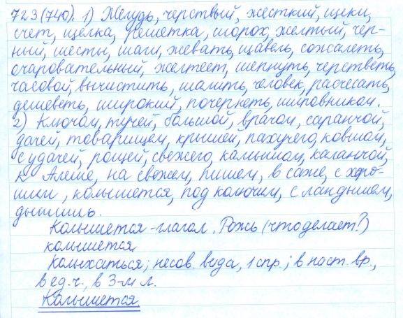 Русский язык, 5 класс, Баранов, Ладыженская, 2012 / 2015, задание: 723 (740)