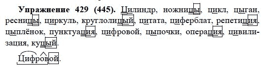 Практика, 5 класс, А.Ю. Купалова, 2007-2010, задание: 429(445)