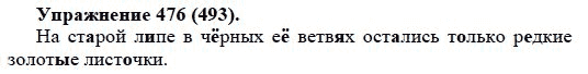 Практика, 5 класс, А.Ю. Купалова, 2007-2010, задание: 476(493)
