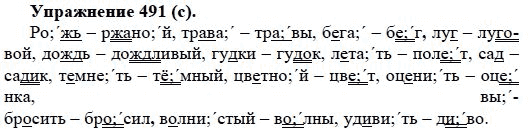 Практика, 5 класс, А.Ю. Купалова, 2007-2010, задание: 491(с)