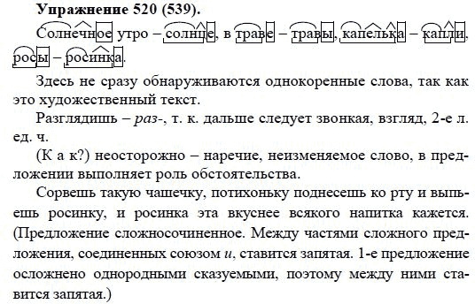 Практика, 5 класс, А.Ю. Купалова, 2007-2010, задание: 520(539)