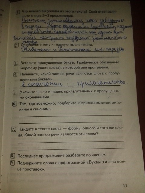 Комплексный анализ текста. Рабочая тетрадь, 5 класс, Е.А. Влодавская, 2015 - 2016, задание: стр.11