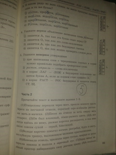 Рабочая тетрадь. Тесты, 5 класс, Т.А. Ладыженской, Е.П. Черногрудова, 2014, задание: стр.85