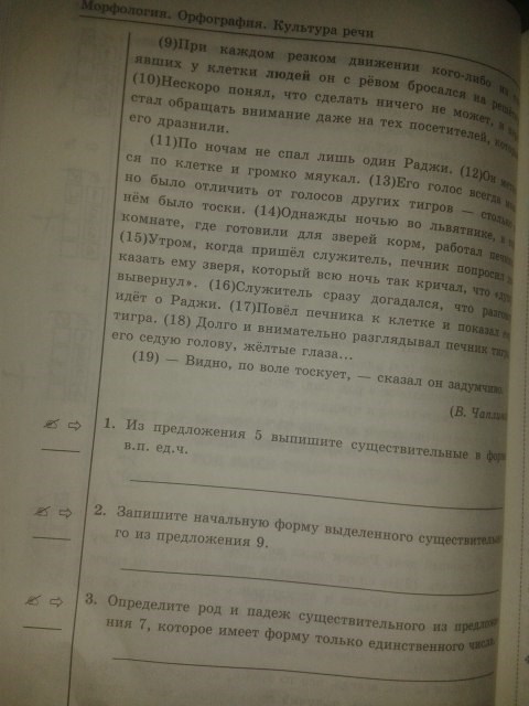 Рабочая тетрадь. Тесты, 5 класс, Т.А. Ладыженской, Е.П. Черногрудова, 2014, задание: стр.96