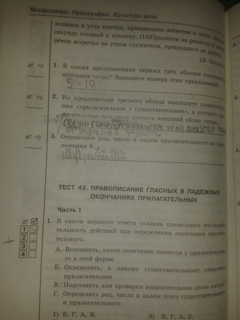 Рабочая тетрадь. Тесты, 5 класс, Т.А. Ладыженской, Е.П. Черногрудова, 2014, задание: стр.106