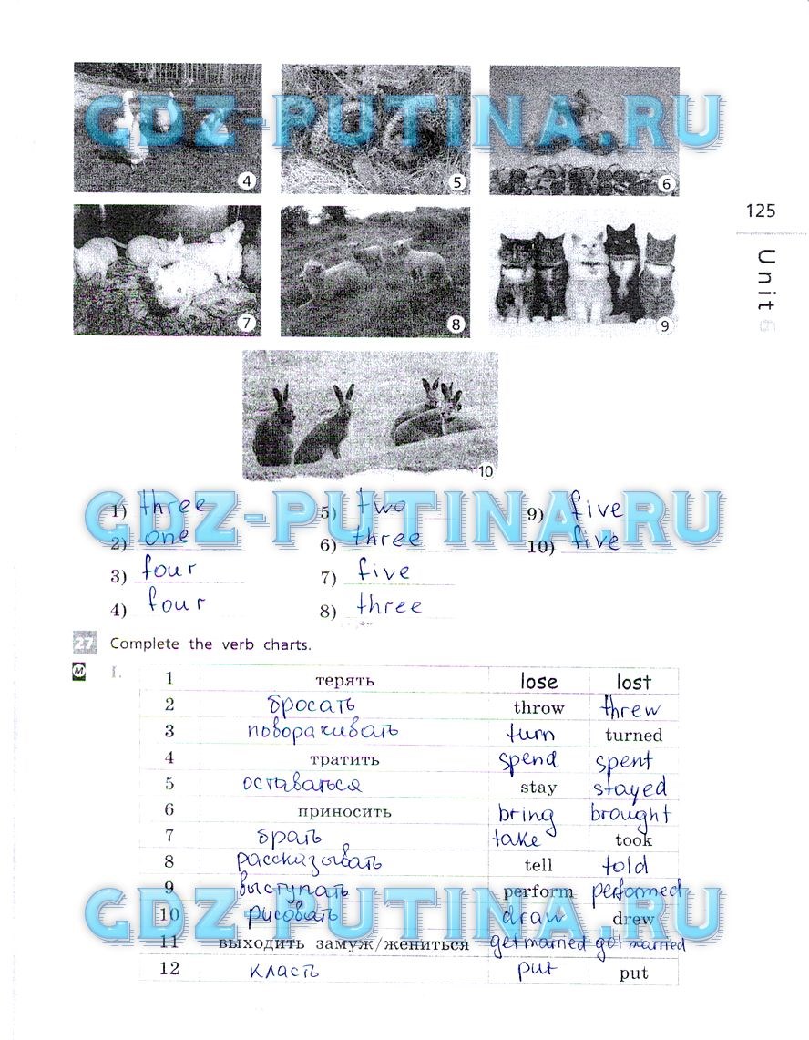 Рабочая тетрадь, 5 класс, Афанасьева, Михеева, Баранова, 2013 - 2015, задание: 125