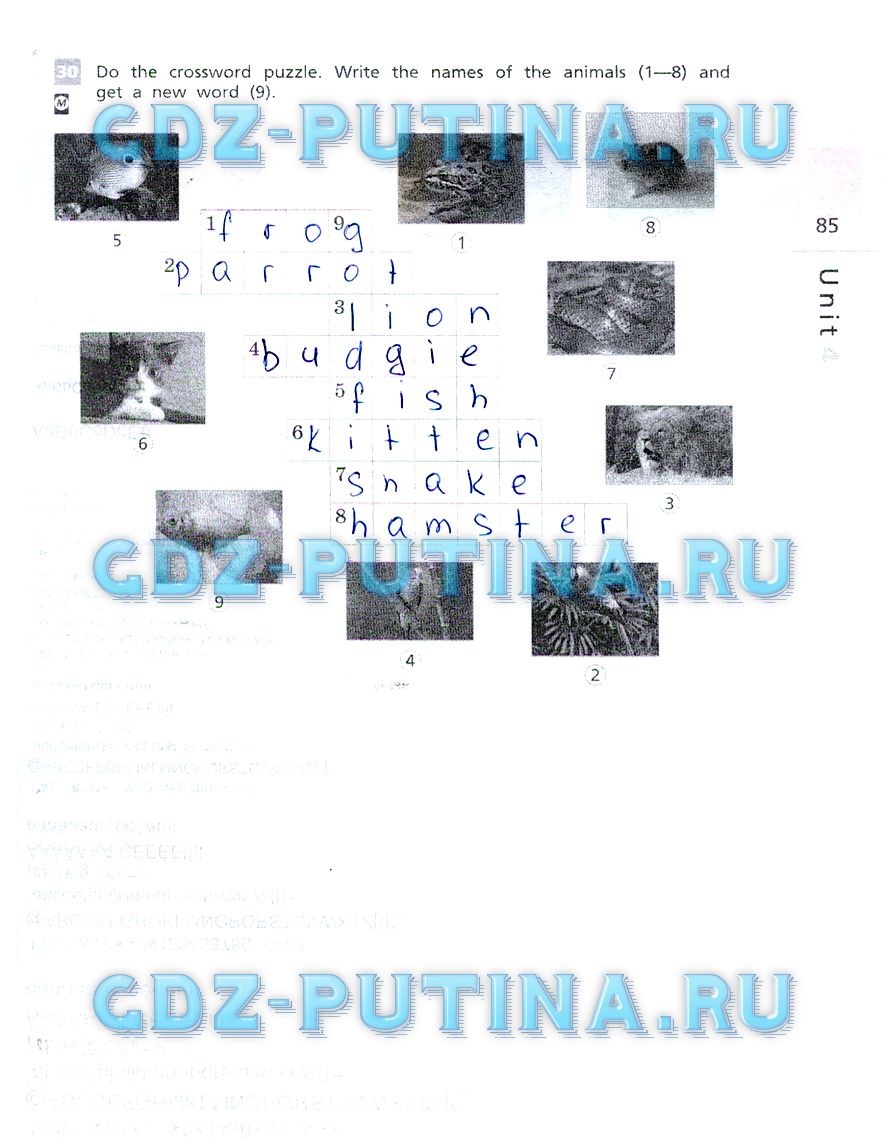 Рабочая тетрадь, 5 класс, Афанасьева, Михеева, Баранова, 2013 - 2015, задание: 85