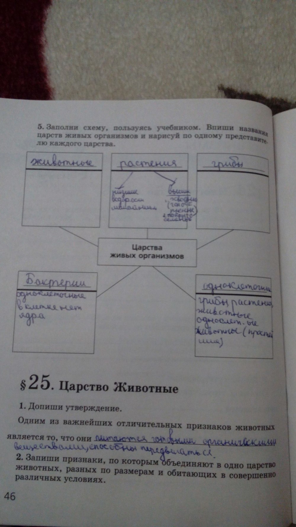 Рабочая тетрадь, 5 класс, Сивоглазов В.И., Суматохин С.В., 2005, задание: стр. 46